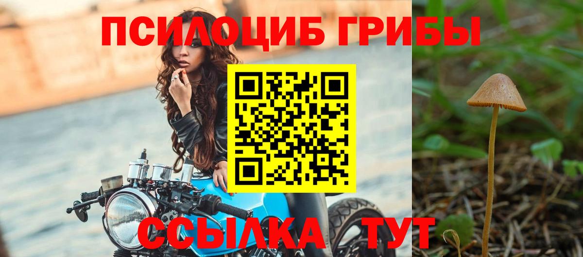 Галлюциногенные грибы Psilocybine cubensis Чайковский