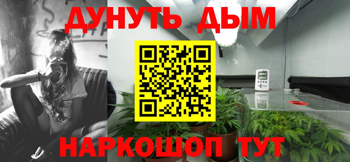 Чайковский  Шишки марихуана план  Шишки марихуана SATIVA & INDICA  Вход с VPN  Бошки Шишки Bruce Banner  МАРИХУАНА планчик 